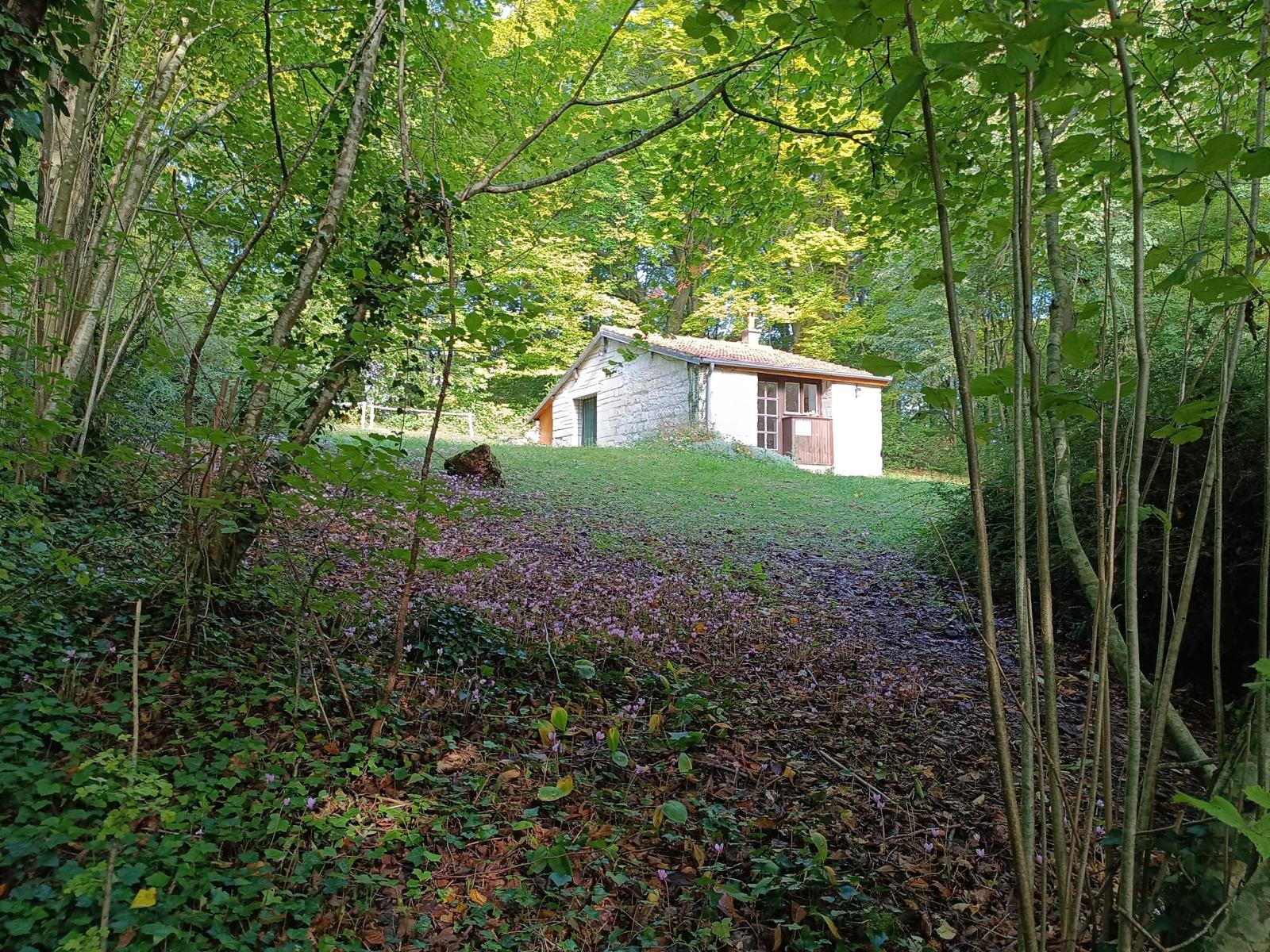 Le commun forestier de L'Hermitage, 22 hectares en gestion collective