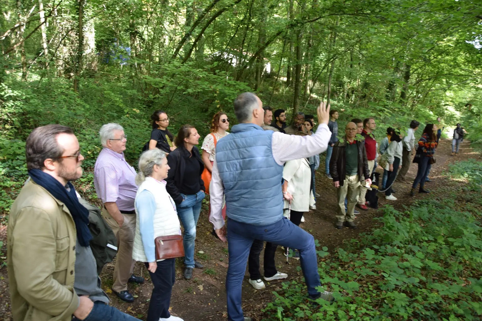 Foret geree collectivement a L'Hermitage